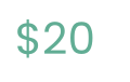 20